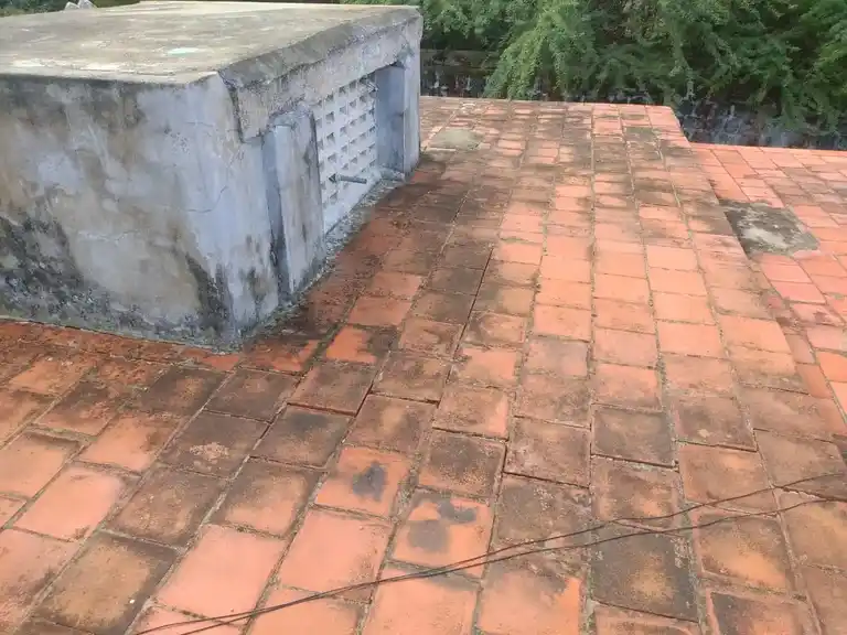 Arulmigu Thanthondreeswarar Swamy Temple, Vendayampatti - 613402 அருள்மிகு தான்தோன்றீஸ்வரர் சுவாமி திருக்கோயில், Vendayampatti - 613402, Thanjavur - Ancient Temple Architecture and History Image 6