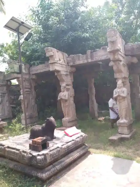 Arulmigu Thanthondreeswarar Temple, Idaiyathur, Ponnamaravathi Taluk - 622002 அருள்மிகு தான்தோன்றீஸ்வரர் திருக்கோயில், இடையாத்தூர், பொன்னமராவதி வட்டம் - 622002, Pudukkottai - Ancient Temple Architecture and History Image 3