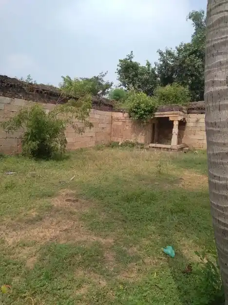 Arulmigu Thanthondreeswarar Temple, Idaiyathur, Ponnamaravathi Taluk - 622002 அருள்மிகு தான்தோன்றீஸ்வரர் திருக்கோயில், இடையாத்தூர், பொன்னமராவதி வட்டம் - 622002, Pudukkottai - Ancient Temple Architecture and History Image 7