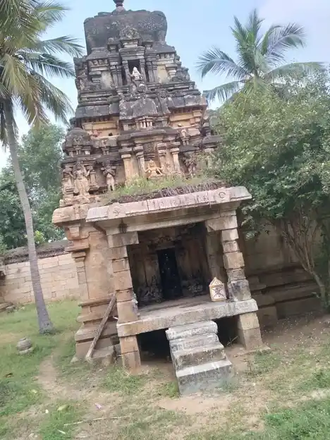 Arulmigu Thanthondreeswarar Temple, Idaiyathur, Ponnamaravathi Taluk - 622002 அருள்மிகு தான்தோன்றீஸ்வரர் திருக்கோயில், இடையாத்தூர், பொன்னமராவதி வட்டம் - 622002, Pudukkottai - Ancient Temple Architecture and History Image 10