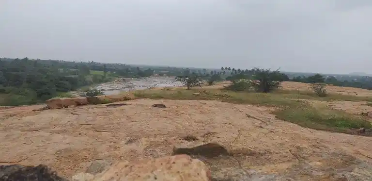 Arulmigu Thanthondriachchukonda Parai Srinivasaperumal Temple, Pambaluppatti - 624710 Temple