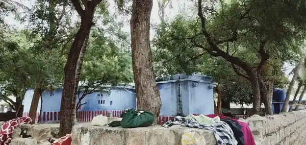 Arulmigu Thanthondriyamman Temple, -, Veeranam - 627861