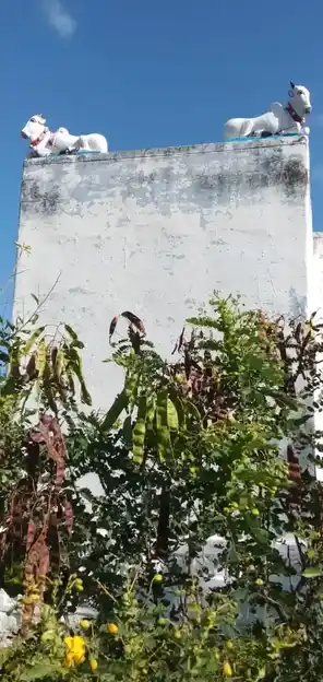 Arulmigu Thanthoniamman Temple, Thoppappatti - 637406 அருள்மிகு தான்தோனியம்மன் திருக்கோயில், Thoppappatti - 637406, Namakkal - Ancient Temple Architecture and History Image 5