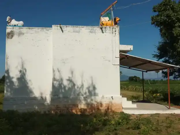 Arulmigu Thanthoniamman Temple, Thoppappatti - 637406 அருள்மிகு தான்தோனியம்மன் திருக்கோயில், Thoppappatti - 637406, Namakkal - Ancient Temple Architecture and History Image 7