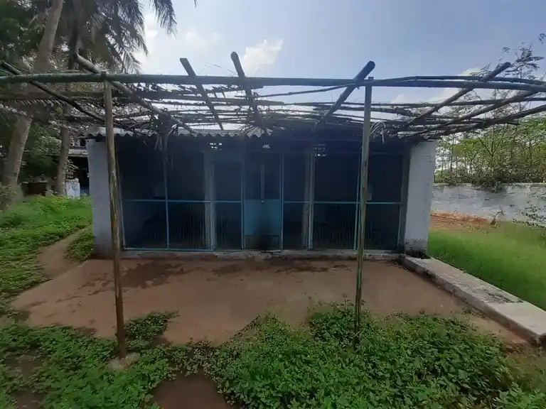 Arulmigu Thanthoniyamman Temple, Kadampadi - 641401 அருள்மிகு தாந்தோனியம்மன் திருக்கோயில், Kadampadi - 641401, Coimbatore - Ancient Temple Architecture and History Image 3