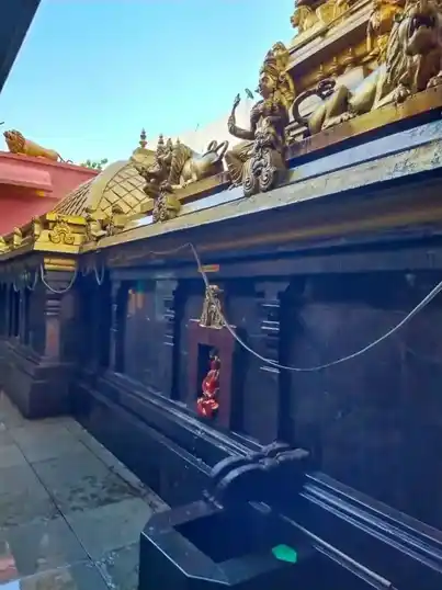 Arulmigu Thanthonriyamman and Selliyamman Temple, Peravallur, Chennai - 600082 அருள்மிகு தான்தோன்றியம்மன் மற்றும் செல்லியம்மன் திருக்கோயில், பெரவலூர், சென்னை - 600082, Chennai - Ancient Temple Architecture and History Image 2