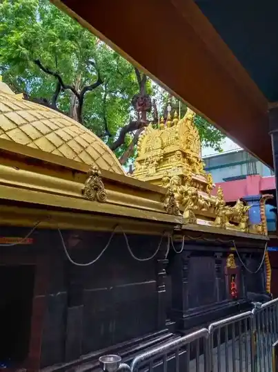 Arulmigu Thanthonriyamman and Selliyamman Temple, Peravallur, Chennai - 600082 அருள்மிகு தான்தோன்றியம்மன் மற்றும் செல்லியம்மன் திருக்கோயில், பெரவலூர், சென்னை - 600082, Chennai - Ancient Temple Architecture and History Image 3