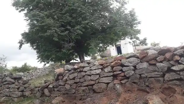 Arulmigu Thari Vengatramana Swamy Temple, Bevunatham - 635107 Arulmigu Thari Vengatramana Swamy Temple, Bevunatham - 635107, Krishnagiri - Ancient Temple Architecture and History Image 3