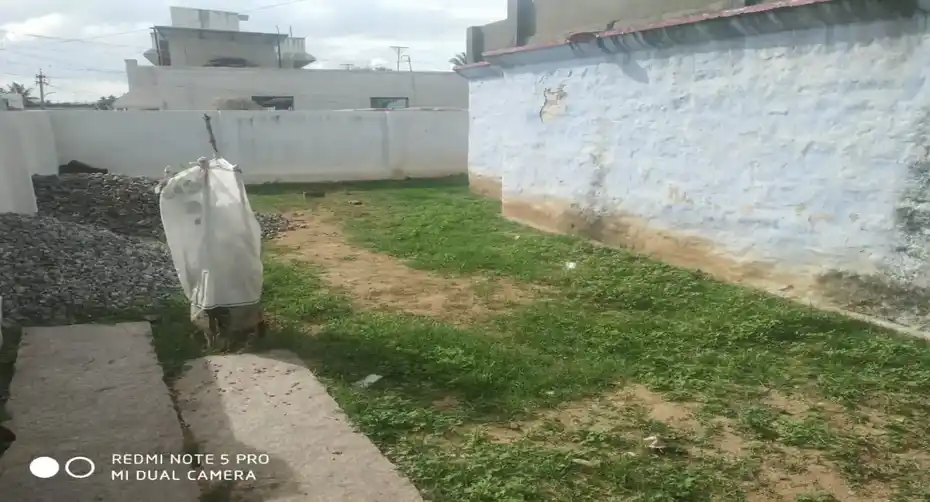 Arulmigu Tharmarajan and Mangalamman Temple, Rangampettai - 632603 அருள்மிகு தர்மராஜர் மற்றும் மங்களம்மன் திருக்கோயில், ரங்கம்பேட்டை - 632603, Vellore - Ancient Temple Architecture and History Image 4