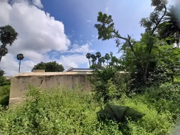 Arulmigu Tharmarajar Temple, Kodakkal - 631102