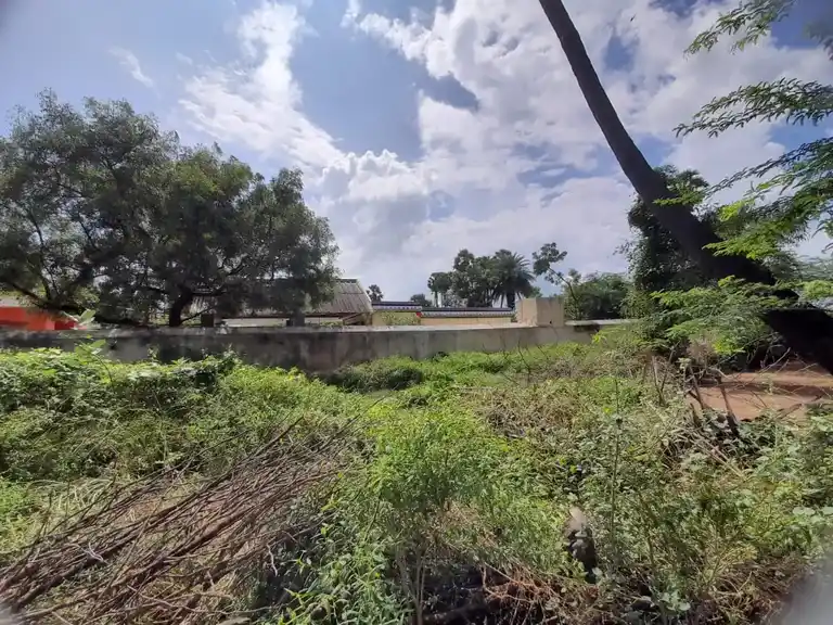 Arulmigu Tharmarajar Temple, Kodakkal - 631102 அருள்மிகு தர்மராஜர் திருக்கோயில், கொடக்கல் - 631102, Ranipet - Ancient Temple Architecture and History Image 3