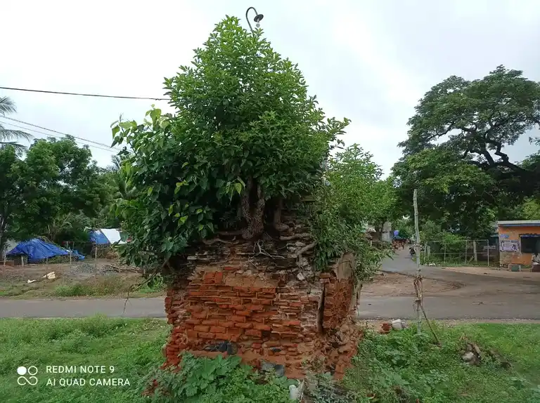 Arulmigu Tharunavinayagar Temple, Kuruvadi - 621715 Arulmigu Tharunavinayagar Temple, Kuruvadi - 621715, Ariyalur - Ancient Temple Architecture and History Image 3