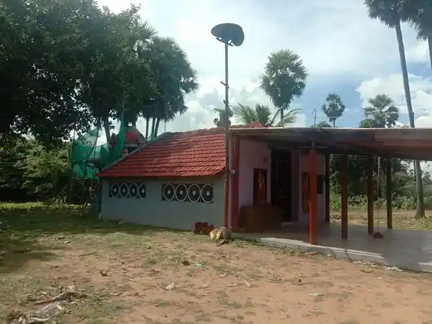 Arulmigu Thatchiyamman Temple, Rajamadam - 614701 அருள்மிகு தாட்சியம்மன் திருக்கோயில், Rajamadam - 614701, Thanjavur - Ancient Temple Architecture and History Image 2