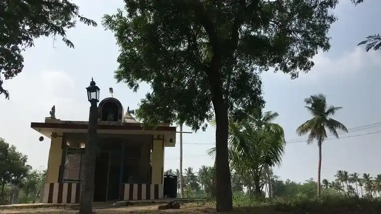 Arulmigu Thathekatti Perumal Temple, Vakkampatti - 624303 அருள்மிகு தாதகட் பெருமாள் திருக்கோயில், Vakkampatti - 624303, Dindigul - Ancient Temple Architecture and History Image 7