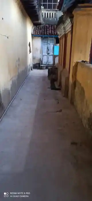 Arulmigu Thathreyar Temple, Thiruvidaimaruthur - 612104 அருள்மிகு தத்தாத்ரேயர் திருக்கோயில், Thiruvidaimaruthur - 612104, Thanjavur - Ancient Temple Architecture and History Image 2