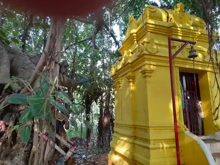 Arulmigu Thattaparai Swamy Temple, Dohnavur - 627102 அருள்மிகு தட்டப்பாறை கோயில், Dohnavur - 627102, Tirunelveli - Ancient Temple Architecture and History Image 2