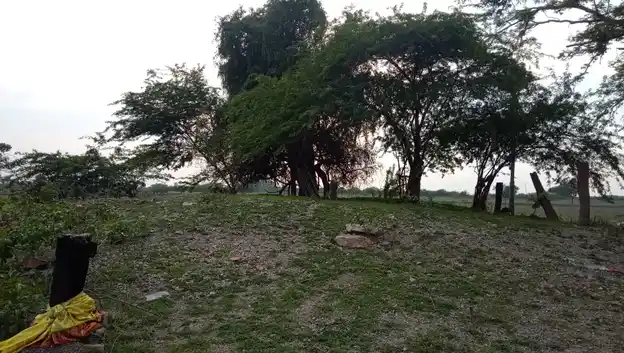 Arulmigu Thattharayan Temple, Jegaveerapuram - 628907