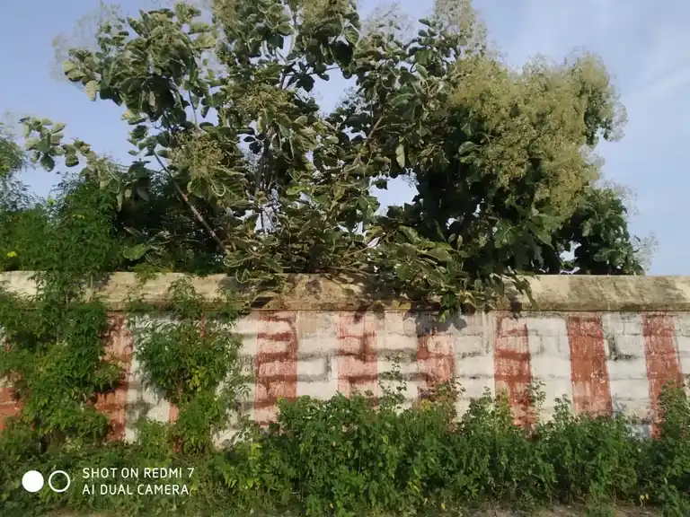 Arulmigu Thayumanavaswamy Temple, Rapoosal - 622102 அருள்மிகு தாயுமானசுவாமி திருக்கோயில், Rapoosal - 622102, Pudukkottai - Ancient Temple Architecture and History Image 5