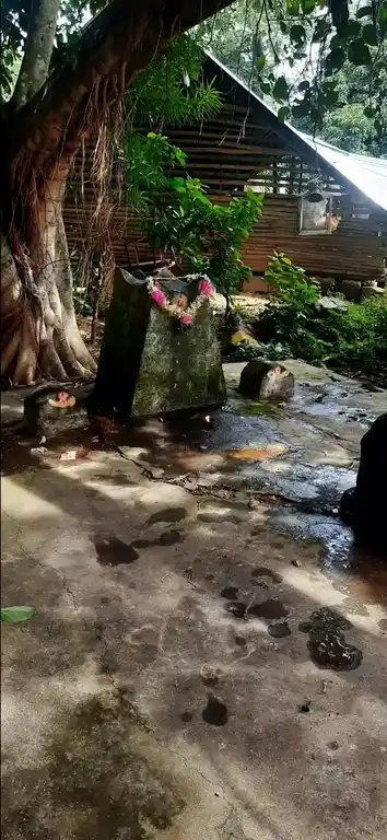 Arulmigu Thazhakkal Ayyanar Temple, Shenkottai - 627809