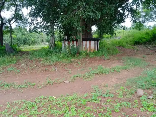 Arulmigu Thedukaragam Temple, Bikkanahalli - 636808 அருள்மிகு தேடு கரகம் திருக்கோயில், Bikkanahalli - 636808, Dharmapuri - Ancient Temple Architecture and History Image 3