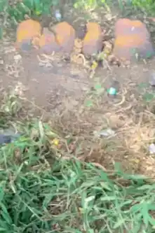 Arulmigu Thedukaragam Temple, Nekkundi - 636803 Temple