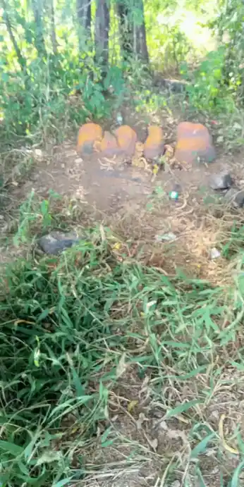 Arulmigu Thedukaragam Temple, Nekkundi - 636803 Arulmigu Thedukaragam Temple, Nekkundi - 636803, Dharmapuri - Ancient Temple Architecture and History Image 4