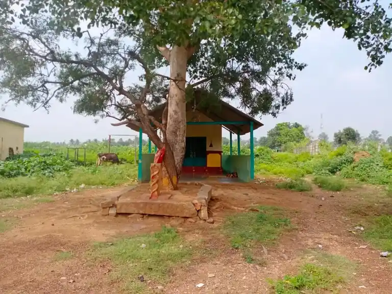 Arulmigu Theepanjiamman Temple, Baisuhalli - 635205