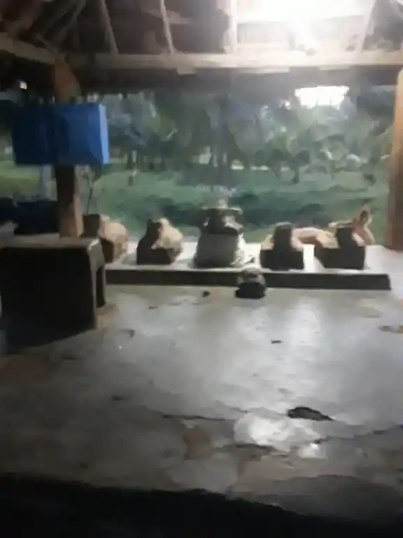 Arulmigu Theiva Vinayagar Temple, Kombaipatti - 624304 அருள்மிகு தெய்வ விநாயகர் கோயில், Kombaipatti - 624304, Dindigul - Ancient Temple Architecture and History Image 7