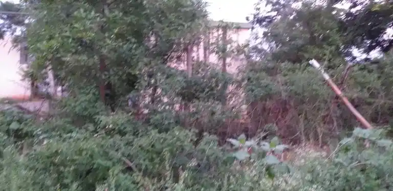 Arulmigu Theiva Vinayagar Temple, Kombaipatti - 624304 அருள்மிகு தெய்வ விநாயகர் கோயில், Kombaipatti - 624304, Dindigul - Ancient Temple Architecture and History Image 8