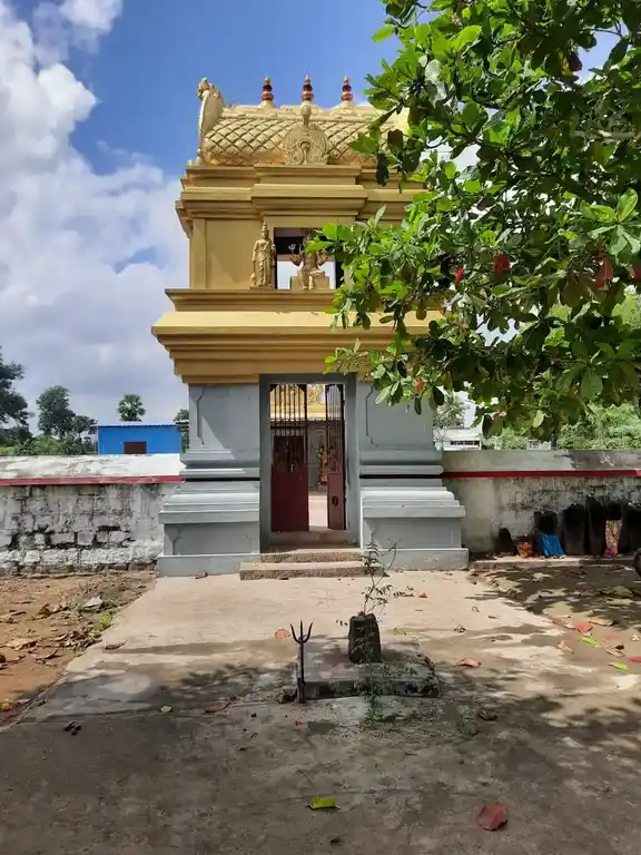Arulmigu Theneriyamman Temple, Kanapapuram - 604601 அருள்மிகு தேனேரியம்மன் திருக்கோயில், Kanapapuram - 604601, Tiruvannamalai - Ancient Temple Architecture and History Image 9