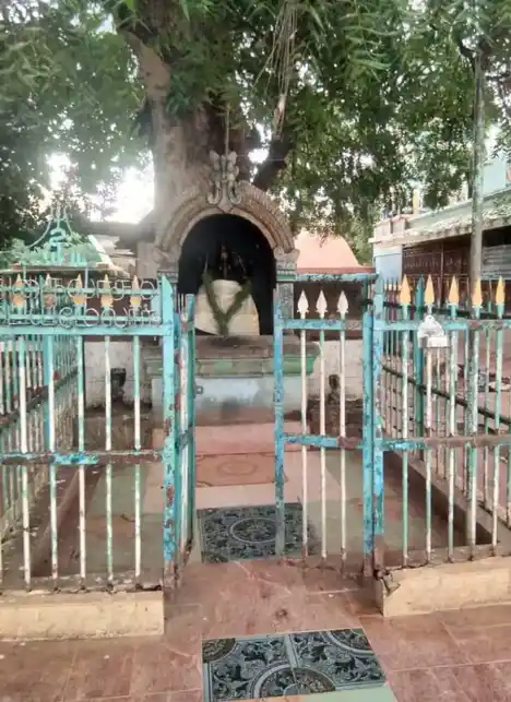 Arulmigu Theni Vinayagar Temple, Valasaipatti - 630410 அருள்மிகு. தேனீ விநாயகர் திருக்கோயில், Valasaipatti - 630410, Sivagangai - Ancient Temple Architecture and History Image 3