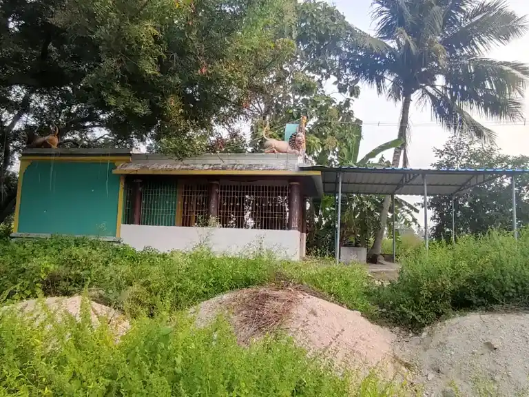 Arulmigu Thenkarai Mariamman Temple, Kashthambadi - 606905 Arulmigu Thenkarai Mariamman Temple, Kashthambadi - 606905, Tiruvannamalai - Ancient Temple Architecture and History Image 5
