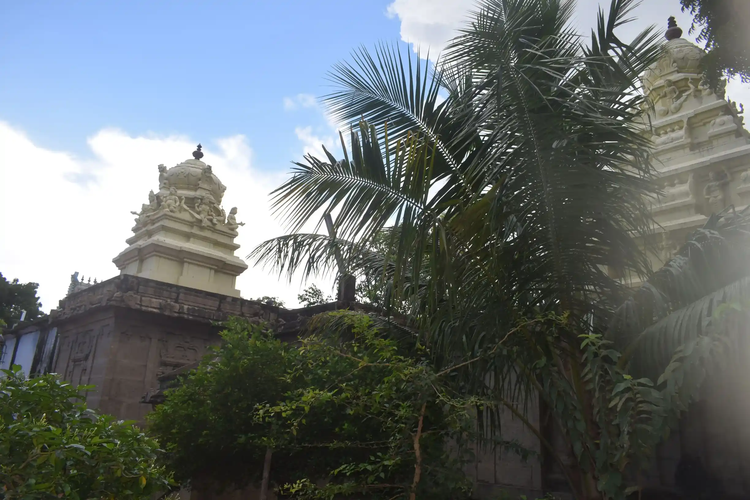 Arulmigu Thenpalani Adavar Temple, Nagar, Tenkasi - 627811 அருள்மிகு தென்பழனி ஆண்டவர் திருக்கோயில், நாகர், தென்காசி - 627811, Tenkasi - Ancient Temple Architecture and History Image 4
