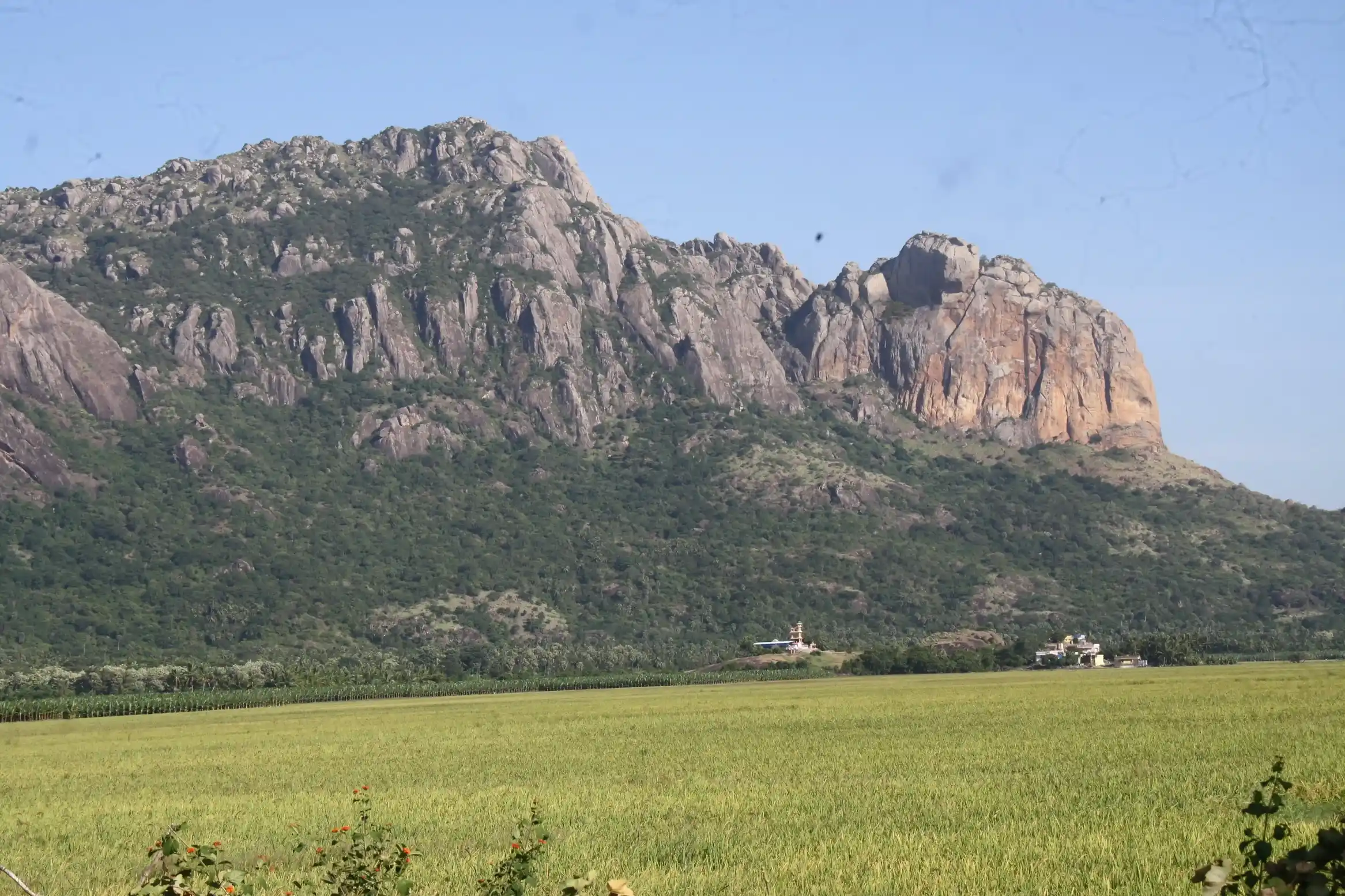 Arulmigu Thenparai Vidankan Temple, Thenparai, Boothapandi - 629852 Arulmigu Thenparai Vidankan Temple, Thenparai, Boothapandi - 629852, Kanyakumari - Ancient Temple Architecture and History Image 3