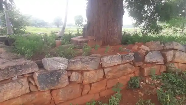 Arulmigu Theppamman Temple, Mullipadi - 624005 Arulmigu Theppamman Temple, Mullipadi - 624005, Dindigul - Ancient Temple Architecture and History Image 2