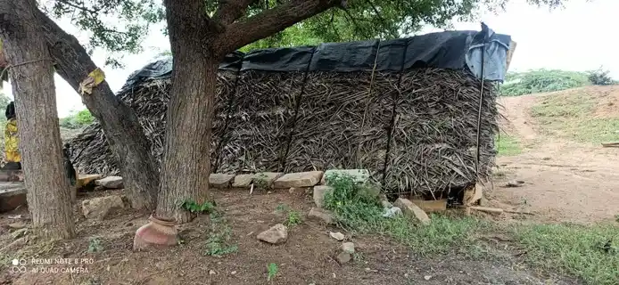 Arulmigu Theppanjamman Temple, Seegampatti - 621311