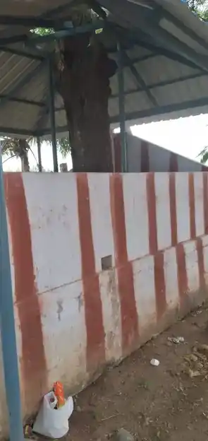 Arulmigu Theradi Vinayagar Temple, Edaiyakottai - 624704 அமி. தேரடி விநாயகர் திருக்கோயில், Edaiyakottai - 624704, Dindigul - Ancient Temple Architecture and History Image 5