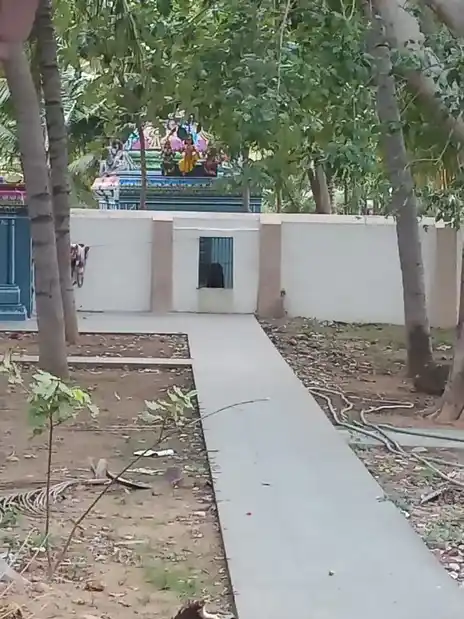 Arulmigu Theraperumal Temple, Maruvoor - 613204 அருள்மிகு தேரப்பெருமாள் திருக்கோயில், Maruvoor - 613204, Thanjavur - Ancient Temple Architecture and History Image 4