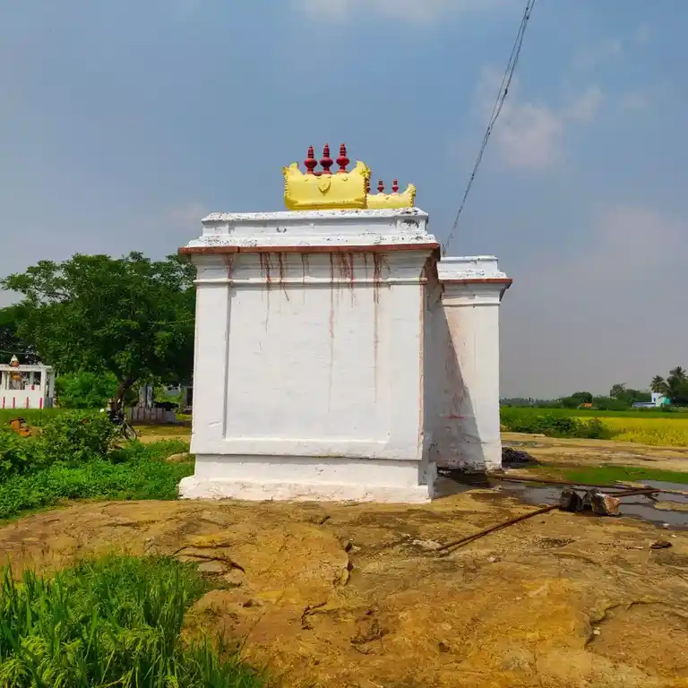 Arulmigu Therku Naalam Theru Muppidathi Amman Temple, Cheranmahadevi - 627414 அருள்மிகு தெற்கு நாலரந்தெரு முப்பிடாதியம்மன் திருக்கோயில், சேரன்மகாதேவி - 627414, Tirunelveli - Ancient Temple Architecture and History Image 3