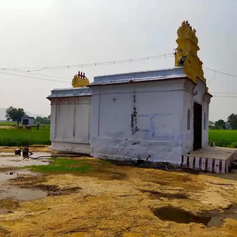 Arulmigu Therku Naalam Theru Muppidathi Amman Temple, Cheranmahadevi - 627414 அருள்மிகு தெற்கு நாலரந்தெரு முப்பிடாதியம்மன் திருக்கோயில், சேரன்மகாதேவி - 627414, Tirunelveli - Ancient Temple Architecture and History Image 5