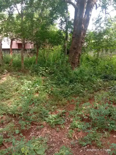 Arulmigu Thethampatti Oorkaval Swamy Temple, Sirugudi - 624402