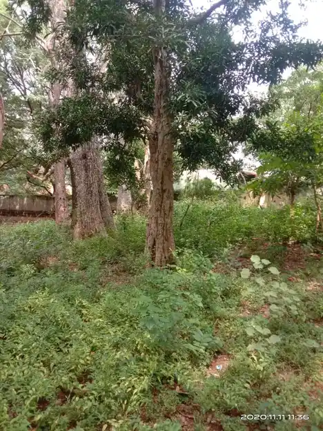 Arulmigu Thethampatti Oorkaval Swamy Temple, Sirugudi - 624402 அருள்மிகு தேத்தாம்பட்டி ஊர்காவல் சாமி திருக்கோயில், Sirugudi - 624402, Dindigul - Ancient Temple Architecture and History Image 3