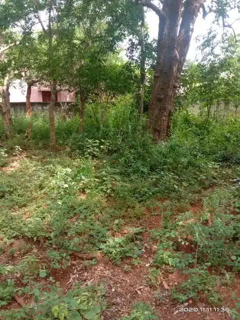 Arulmigu Thethampatti Oorkaval Swamy Temple, Sirugudi - 624402 அருள்மிகு தேத்தாம்பட்டி ஊர்காவல் சாமி திருக்கோயில், Sirugudi - 624402, Dindigul - Ancient Temple Architecture and History Image 4