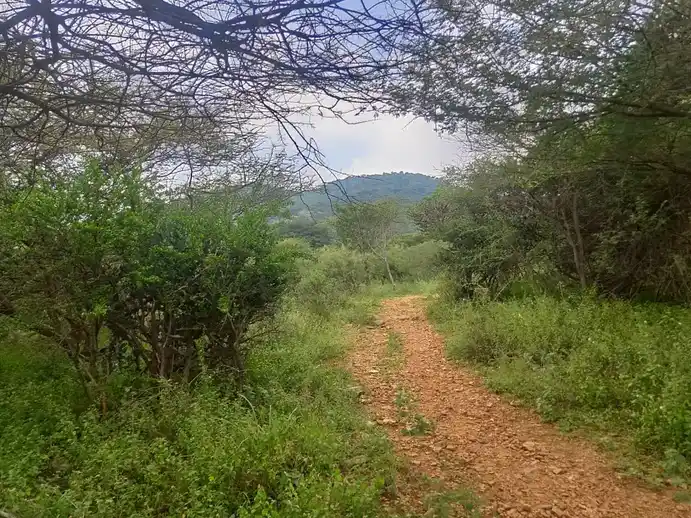 Arulmigu Thevarmalai Perumal Temple, Gurunathanayakanur - 624622 அருள்மிகு தேவர்மலை பெருமாள் திருக்கோயில், Gurunathanayakanur - 624622, Dindigul - Ancient Temple Architecture and History Image 6