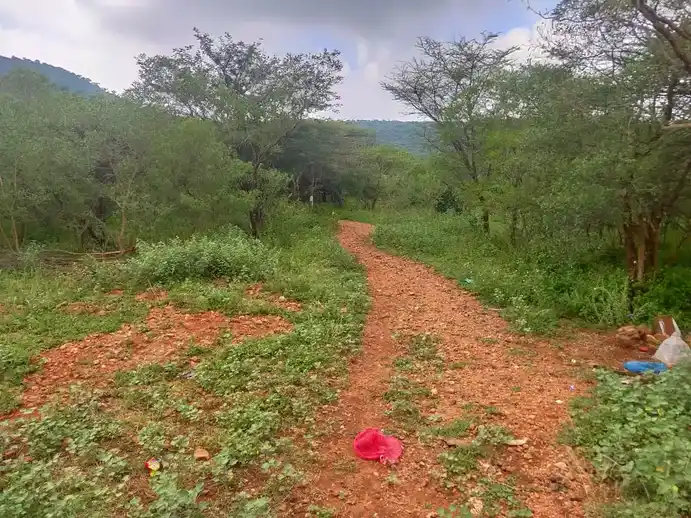 Arulmigu Thevarmalai Perumal Temple, Gurunathanayakanur - 624622 அருள்மிகு தேவர்மலை பெருமாள் திருக்கோயில், Gurunathanayakanur - 624622, Dindigul - Ancient Temple Architecture and History Image 7