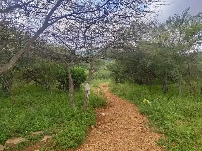 Arulmigu Thevarmalai Perumal Temple, Gurunathanayakanur - 624622 அருள்மிகு தேவர்மலை பெருமாள் திருக்கோயில், Gurunathanayakanur - 624622, Dindigul - Ancient Temple Architecture and History Image 8