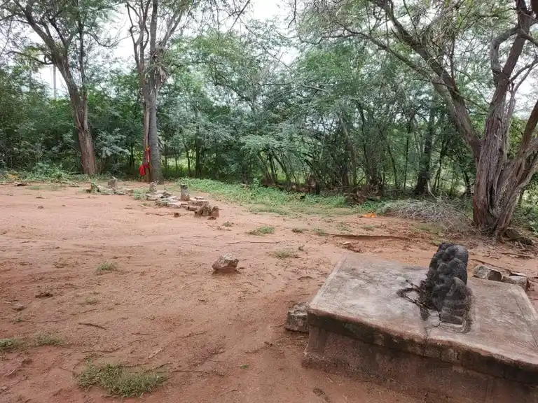 Arulmigu Thiiruvettai Ayyanar Temple, Kudanchadi - 630506 அருள்மிகு. திருவேட்டை அய்யனார் திருக்கோயில், Kudanchadi - 630506, Sivagangai - Ancient Temple Architecture and History Image 3