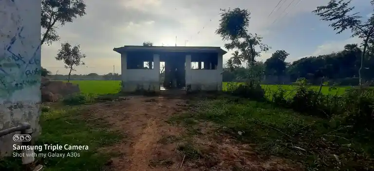 Arulmigu Thilaikaliyamman Temple, Thiruchitrambalam - 609204 அருள்மிகு தில்லை காளியம்மன் திருக்கோயில், Thiruchitrambalam - 609204, Mayiladuthurai - Ancient Temple Architecture and History Image 9