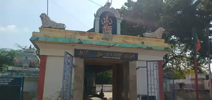 Arulmigu Thillai Kaliamman Temple, Arasankudi - 620013 Temple