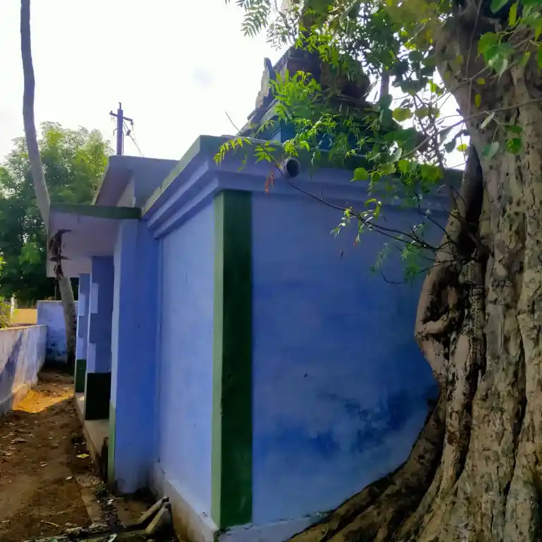 Arulmigu Thillai Vinayagar Temple, Mgr Nagar - 627453 அருள்மிகு தில்லை விநாயகர் திருக்கோயில், பத்தமடை - 627453, Tirunelveli - Ancient Temple Architecture and History Image 2